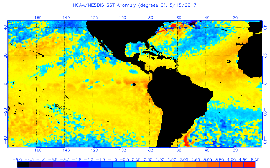 Sea Surface Temp Charts